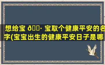 想给宝 🌷 宝取个健康平安的名字(宝宝出生的健康平安日子是哪天)